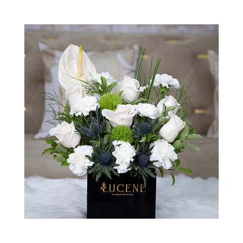 Lucene - Ayden 4 - Height: 45cm
Width: 35cm
This velvet box is square in shape, contains roses flowers and Belgian chocolates.