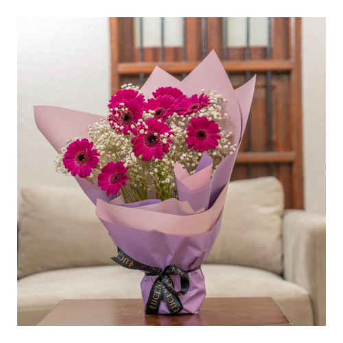 Tyler 30 - Height: 40cm
Width: 25cm
A hand bouquet that contains purple gerbera and gypsophila flowers.