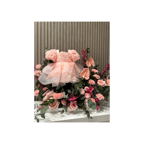 A Beautiful Gift for His Baby - A beautiful gift for a newborn, made of a dress with a beautiful jutti and beautiful pink roses