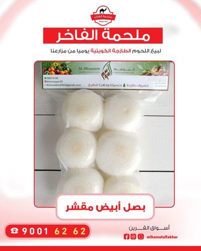 بصل ابيض مقشر