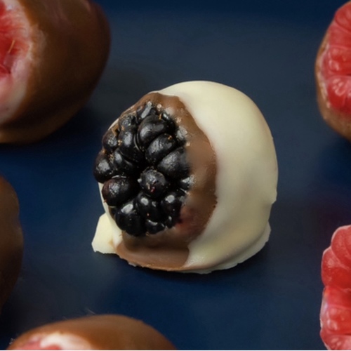 Mix Berry Chocolate