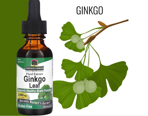 Blue Store 511 - Ginkgo Leaf Extract - Ginkgo leaf extract - Raises potassium in the body - Strengthening memory - An effective treatment for poor concentration - Eliminate stress and anxiety - Improves blood flow throughout the body - Gluten free How to use: Take 1-2 ml (40-80 drops) 2-3 times a day with a small amount of water. Size: 30ml