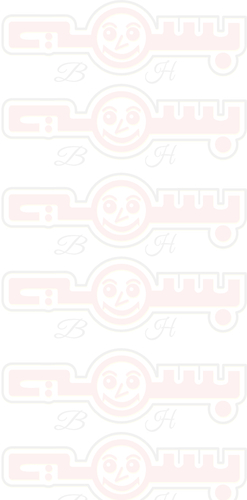 Basam Anchovy 175 GM