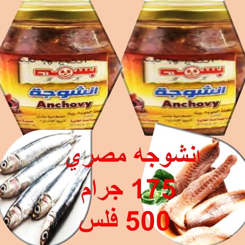 Basam Anchovy 175 GM