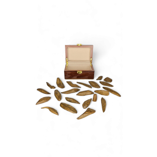 Luxurious Royal Moroccan 5 Toal's - 5 Tola