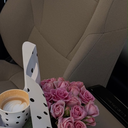 هولدر مع كوب