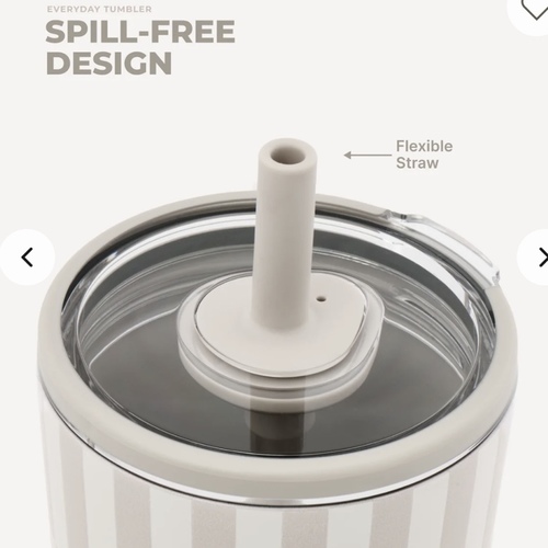 hydrojug mug