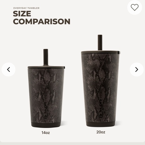 hydrojug mug