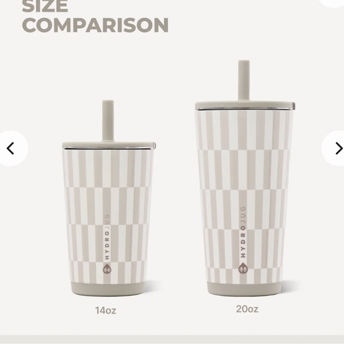 hydrojug mug