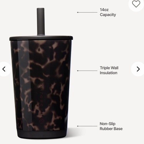 hydrojug mug