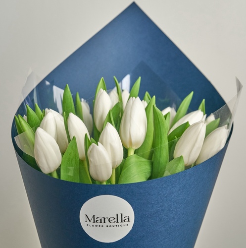 tulip 20