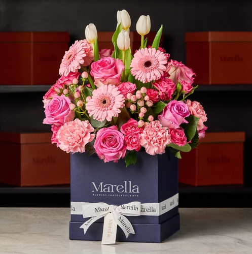 Box marella