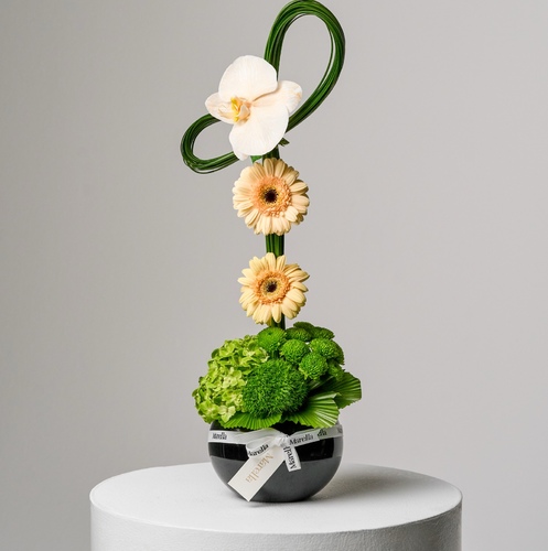 Vasa og - فازة دائريه بحجم متوسط بتنسيق ماريلا الراقي من زهرة الاوركيد و الجربيرا وانواع الزهور بشكل يرقى لمناسباتكم لكتابة العباره على الكرت يرجى الكتابه بالملاحظات