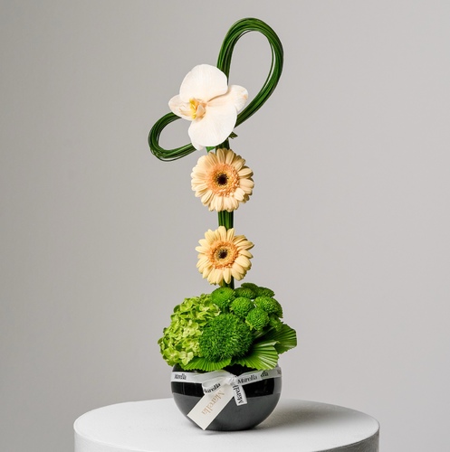 Vasa og - فازة دائريه بحجم متوسط بتنسيق ماريلا الراقي من زهرة الاوركيد و الجربيرا وانواع الزهور بشكل يرقى لمناسباتكم لكتابة العباره على الكرت يرجى الكتابه بالملاحظات