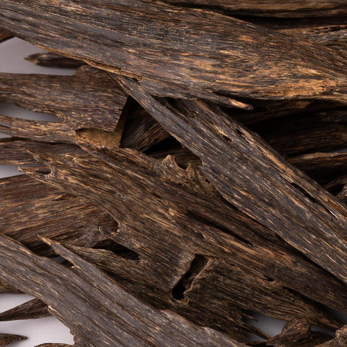 زورا مجالس رويال