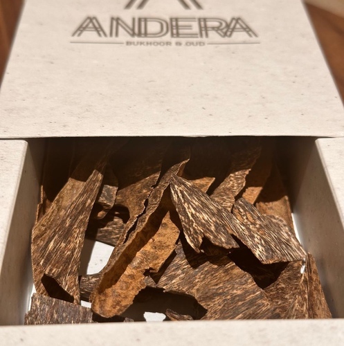 تراد الملكي اندروتر كسر مباخر