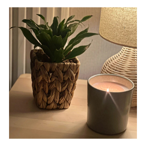 Easy Care Indoor Plant (Dracaena) in a Woven Pot