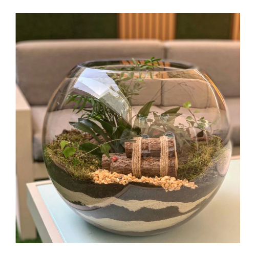 Xlarge Terrarium “The Wood”