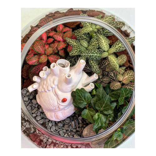 Large Terrarium (Anatomical Heart) - Natural fresh flowers large size