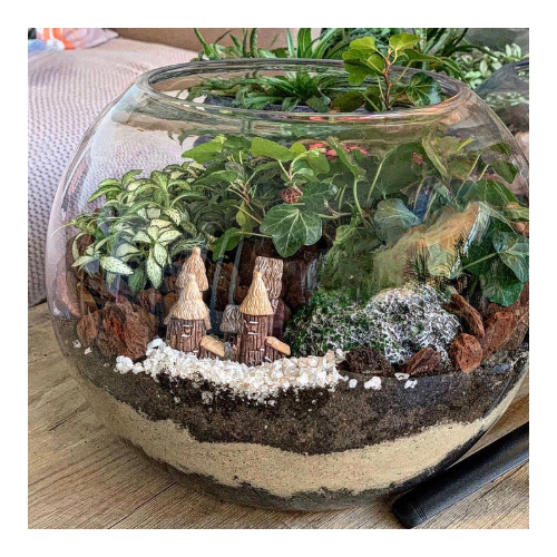 Large Terrarium “Thé Cave”