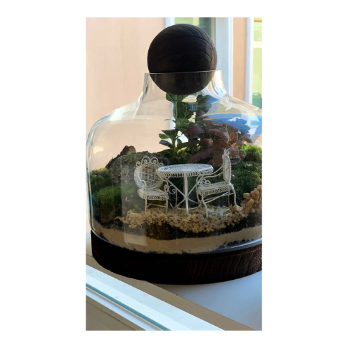 Signature Terrarium (Large) - Our Signature Terrarium “Large Size”