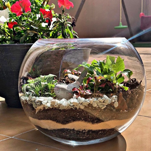 Large Terrarium (Concrete Bird)