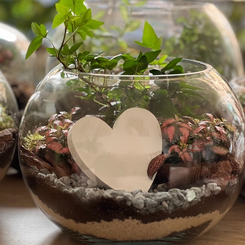 Large Terrarium “White Heart”