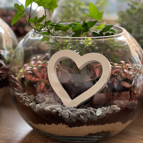 Large Terrarium “Heart”