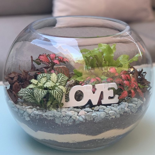 Large Terrarium “love”