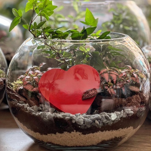 Large Terrarium “red heart”