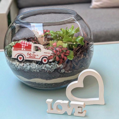 Large Terrarium “white car”