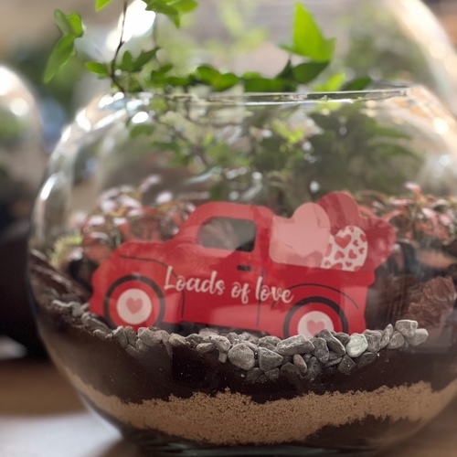 Large Terrarium “red car”