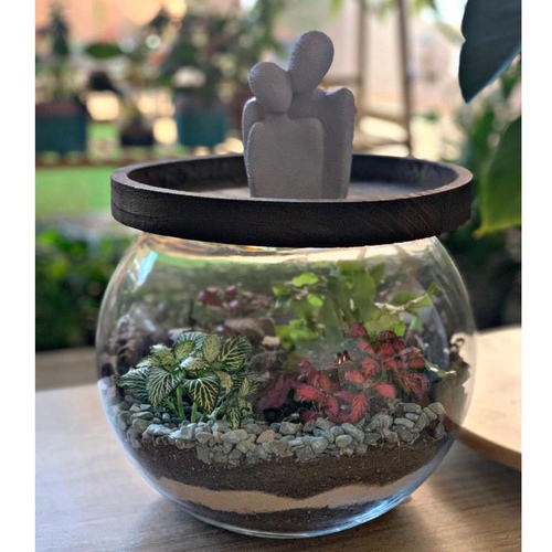 Large Closed Terrarium