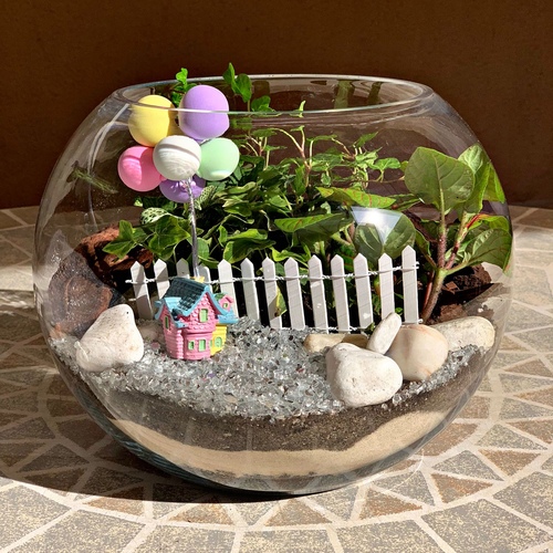 Large Birthday Terrarium