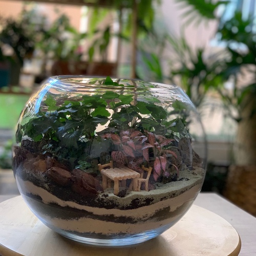 large Terrarium “Thé Garden”