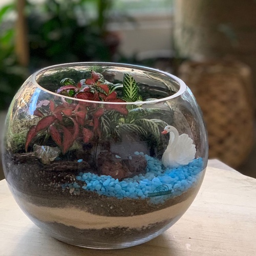 large terrarium “blue”