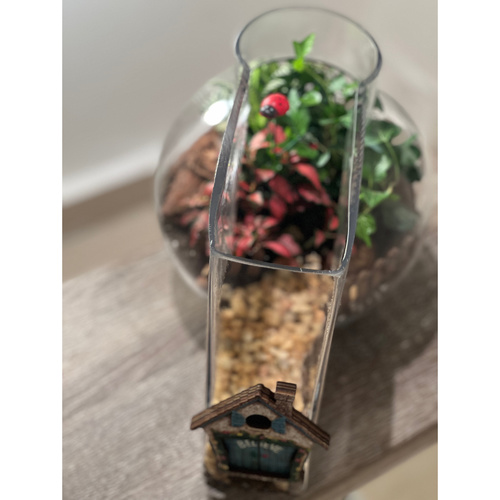 Unique Terrarium “Mini garden”