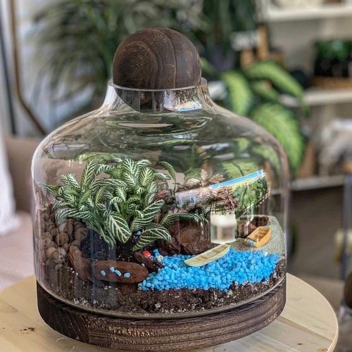 large closed terrarium “beach vibe”