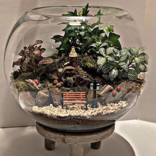 Large Terrarium “little village”