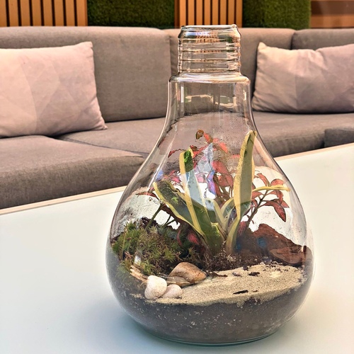 ligh bulb large terrarium