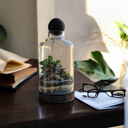حديقة زجاجية  مميز (متوسط)#D - Our Classic Closed Terrarium