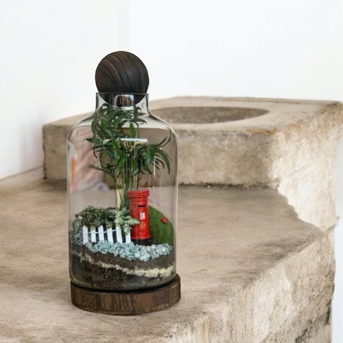 حديقة زجاجية  كلاسيكي (صندوق البريد)#E - حديقة زجاجية داخلية مغلقة سهلة العناية