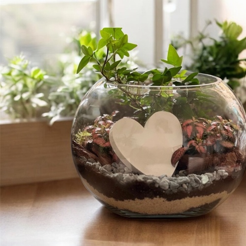 حديقة زجاجية حجم لارج 