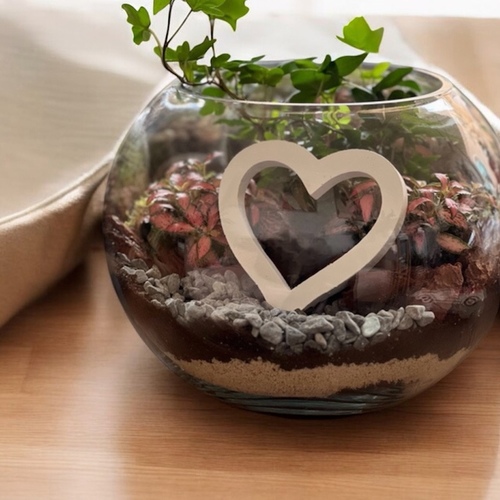 Large Terrarium “Heart”