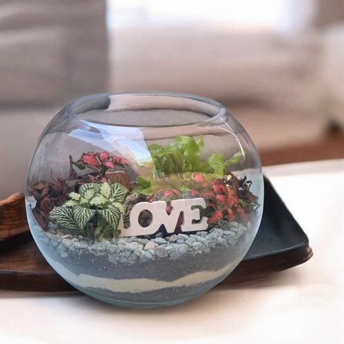 حديقة زجاجية لارج 