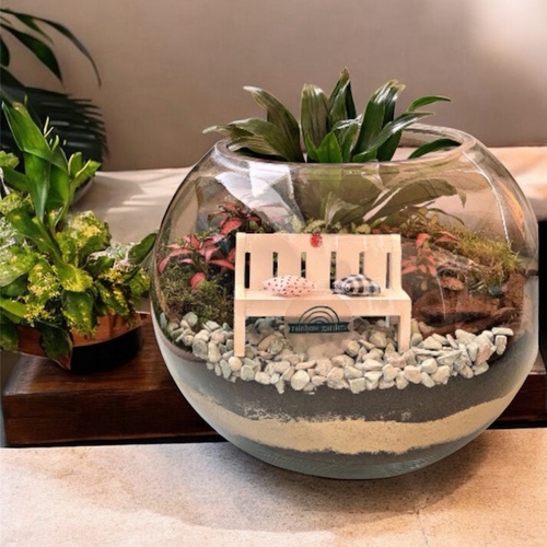 حديقة زجاجية كبير (الحديقة)