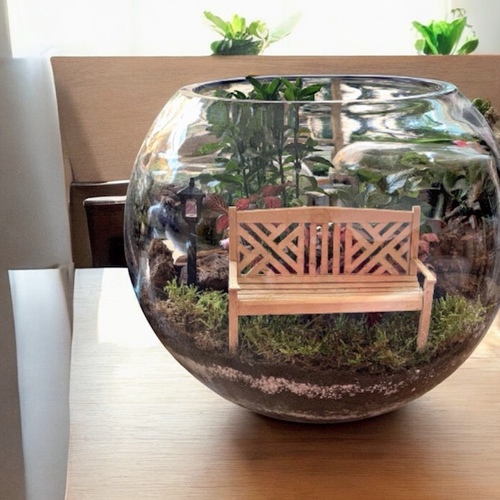 حديقة زجاجية حجم أكس لارج (كرسي خشبي)