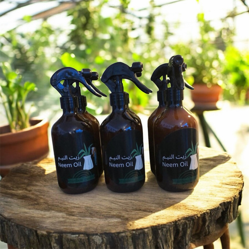 مرش يحتوي على زيت النيم - زيت النيم جاهز للاستخدام: استخداماتة: يرش على أوراق النبات للتلميع وإزالة الغبار، يعالج النبات من الحشرات والفطريات.
