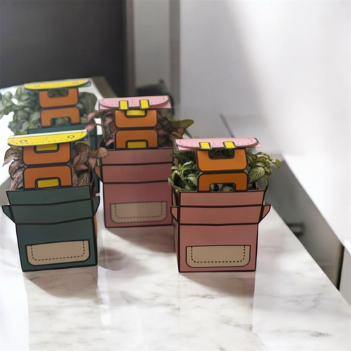 توزيعات مدرسية #A - توزيعات المدارس/ عودة للمدارس/ يوم المعلم  عبارة عن نبتة داخلية طبيعية سهلة العناية