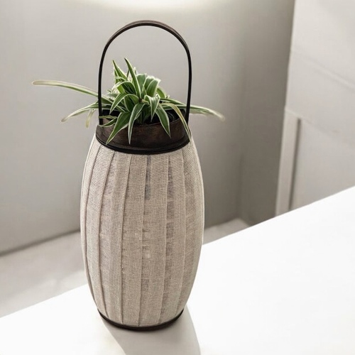 حوض راقي مع نبتة العنكبوت